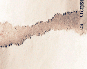 back_papier_31.gif