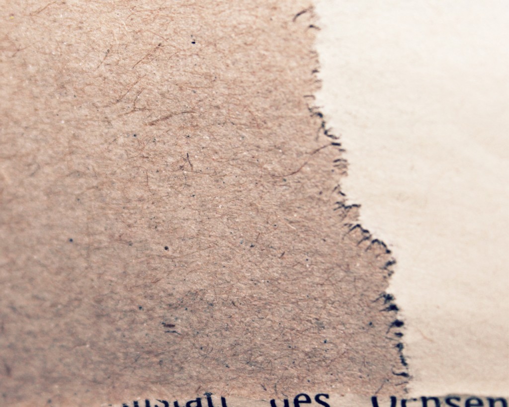 back_zeitung_1