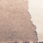back_zeitung_1